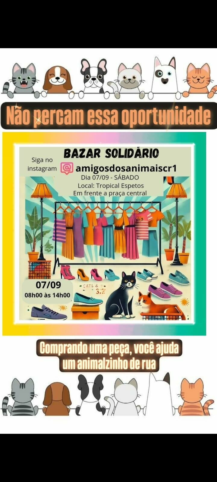 Imagem de compartilhamento para o artigo Quinta edição do Bazar Solidário acontece amanhã para ajudar animais resgatados em Costa Rica da MS Todo dia